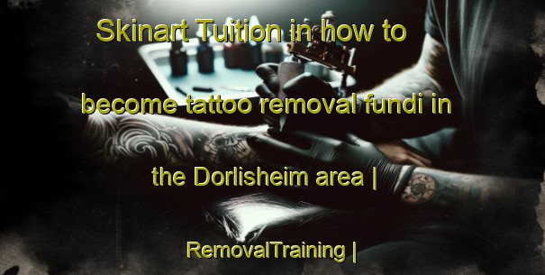 Skinart Tuition in how to become tattoo removal fundi in the Dorlisheim area | RemovalTraining | RemovalClasses | SkinartTraining-France